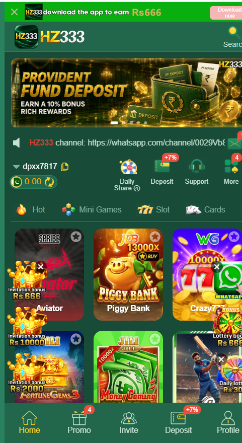 HZ333 homepage