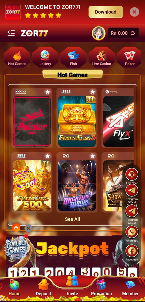 Haan bro, home screen ke liye ye alt text best rahega: **ZOR77 Game home screen** 